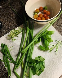 Food Herbs