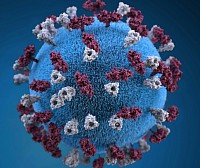Immune