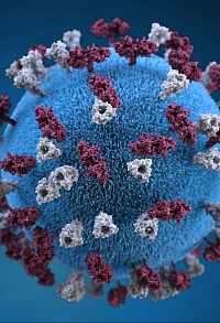 IV Hydration Immunity booster