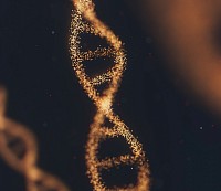 DNA repair