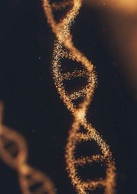 IV NAD to help DNA repair