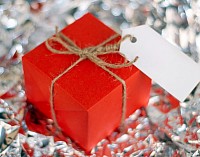 Holiday aesthetic, spa add-on